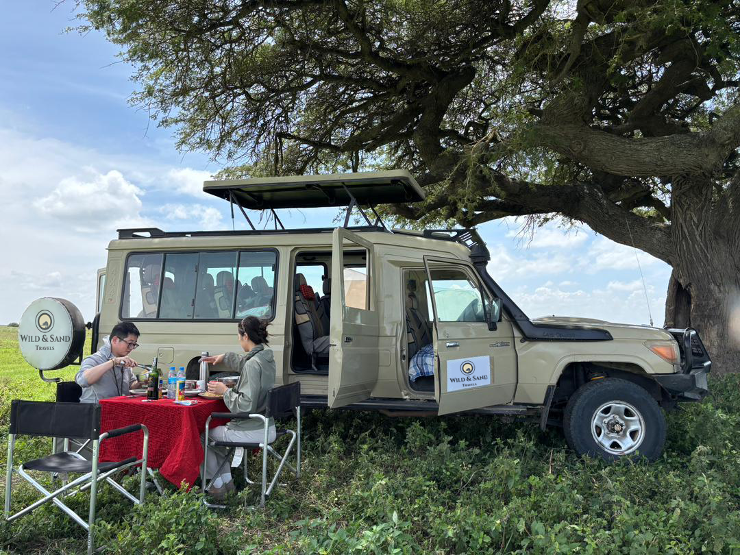 Walking Safari